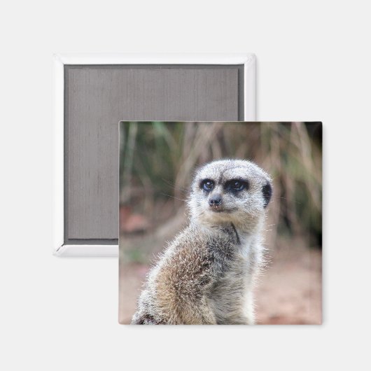 目を凝らす マグネット (正面/裏面)