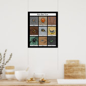 目を参照してあなた動物のプン、動物の目 ポスター (キッチン)