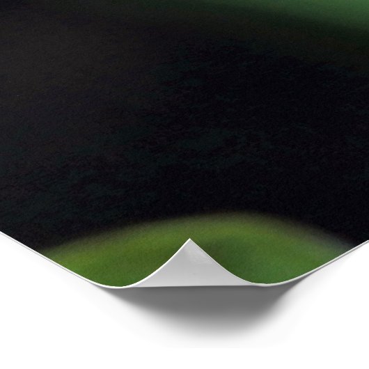 目を引く蓮の花 ポスター (角)