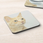 目を持つ猫は広く開きます コースター (左側)