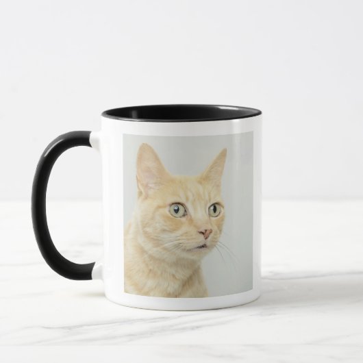 目を持つ猫は広く開きます マグカップ (左)
