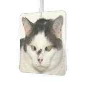 目を横切って飛ぶ カーエアーフレッシュナー (左)