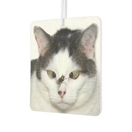 目を横切って飛ぶ カーエアーフレッシュナー (左)