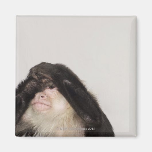 目を覆うサル マグネット (正面)