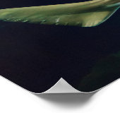 目を見張るザリガニ ポスター (角)