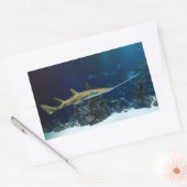 目を見張るザリガニ 長方形シール (封筒)