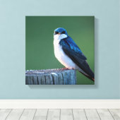 目を見張るスズメ キャンバスプリント (インサイチュ (ウッドフロア))