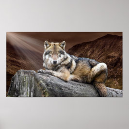 目を見張る狼 ポスター