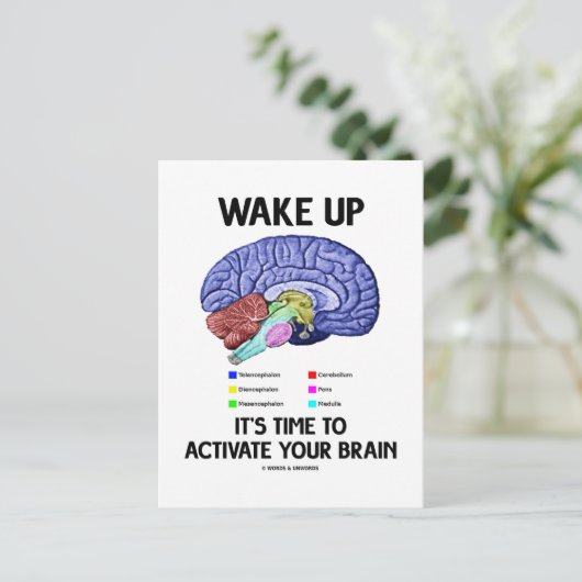 目を覚ますあなたの脳を活性化する時間である(ユーモア) ポストカード (スタンド正面)