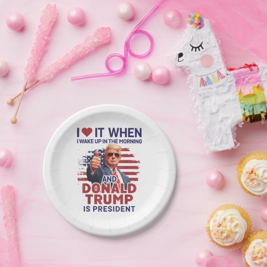 目を覚ますとトランプがフー大統領で大好き ペーパープレート (パーティー)