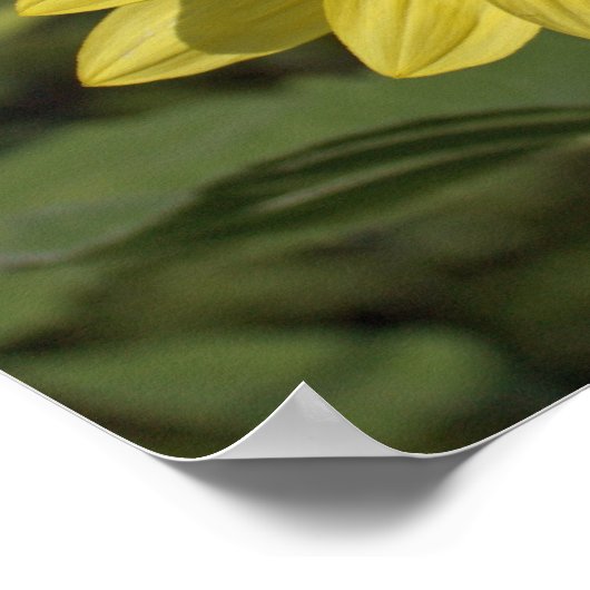 目を覚ますと、それは美しい日のポスターだ。 ポスター (角)