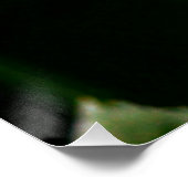 目を覚ますひまわり ポスター (コーナー)