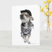 目を閉じたチワワの広角 カード (黄色い花)