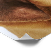 目を閉じたブラッドハウンド（聖ヒューバート・ハウンド） ポスター (角)