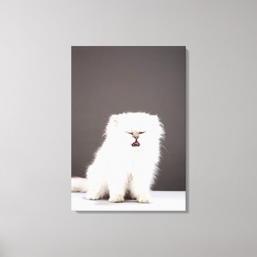 目を閉じた子猫 キャンバスプリント (正面)