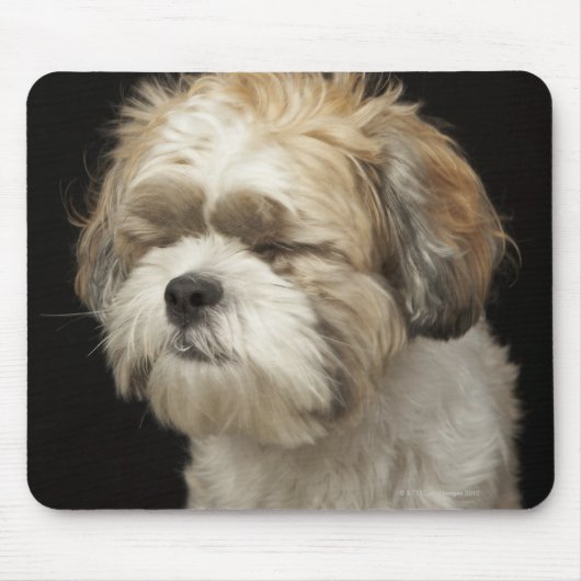 目を閉じた茶色と白のシーズー(犬)Tzu マウスパッド (正面)