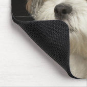 目を閉じた茶色と白のシーズー(犬)Tzu マウスパッド (コーナー)