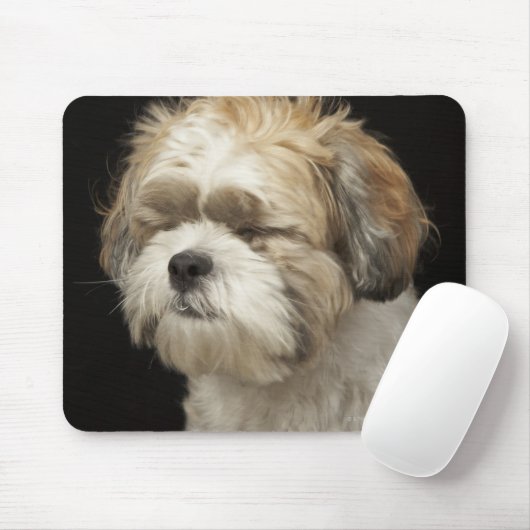 目を閉じた茶色と白のシーズー(犬)Tzu マウスパッド (マウス)