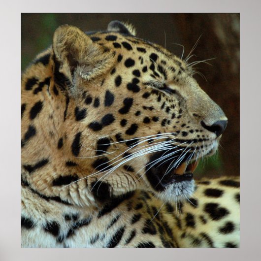 目を閉じないで… ポスター (正面)