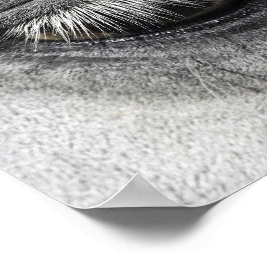 目ウマ科のは素晴らし接写 ポスター (角)