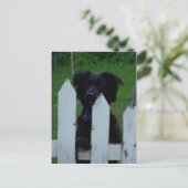 目保を外す ポストカード (スタンド正面)