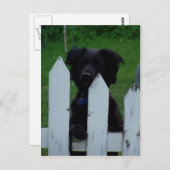 目保を外す ポストカード (正面/裏面)