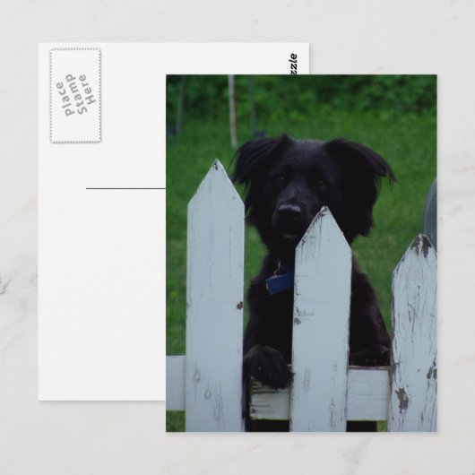 目保を外す ポストカード (正面/裏面)