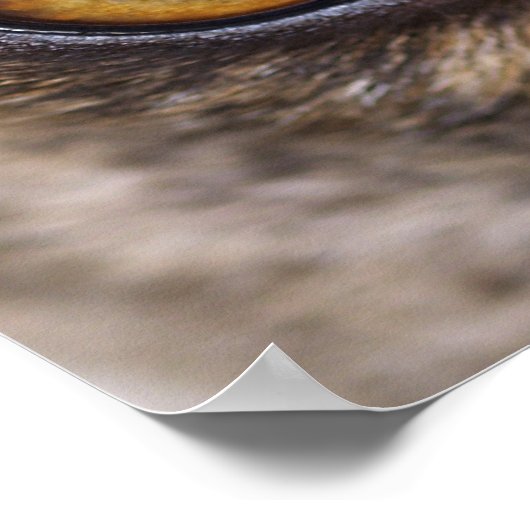 目得が見える！ ポスター (角)