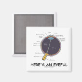 目深い(目の解剖学的なユーモア) マグネット (正面/裏面)