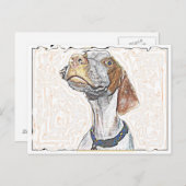 目熱狂する ポストカード (正面/裏面)