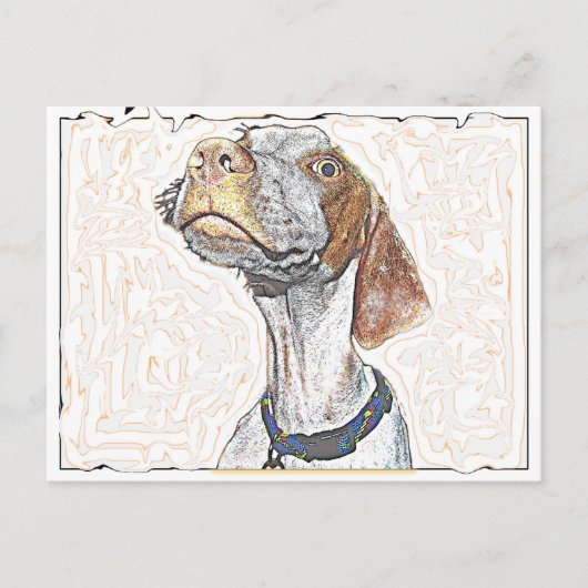 目熱狂する ポストカード (正面)