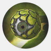 目玉の庭の植物 ラウンドシール (正面)