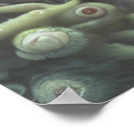 目玉の植物 ポスター (角)