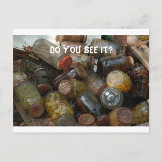 目玉の缶詰見える？ ポストカード (正面)