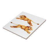 目的が異なるライオン タイル (側面)