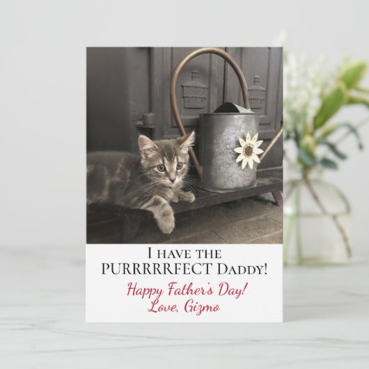 目的のパパだ！父の日の子猫写真 カード (スタンド正面)