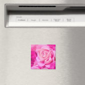 目的数々の磁石 マグネット (インサイチュ (食洗機))