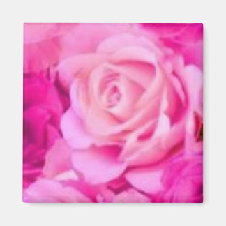 目的数々の磁石 マグネット