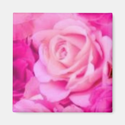 目的数々の磁石 マグネット (正面)