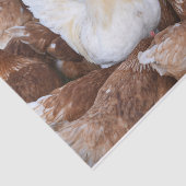 目立つな！チキンズティッシュペーパー 薄葉紙 (詳細)