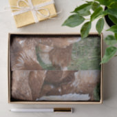 目立つな！チキンズティッシュペーパー 薄葉紙 (ギフト)