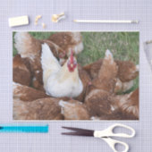 目立つな！チキンズティッシュペーパー 薄葉紙 (クラフト)