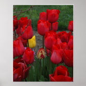 目立つ ポスター (正面)