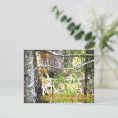 目立つ ポストカード (スタンド正面)