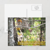 目立つ ポストカード (正面/裏面)