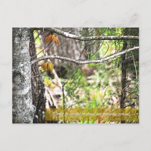 目立つ ポストカード (正面)