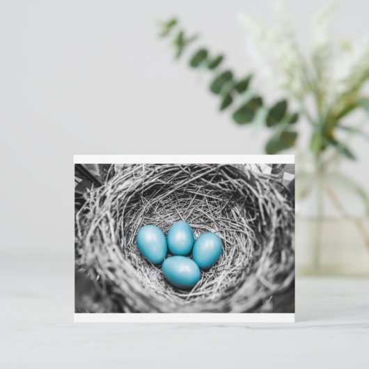 目立つ ポストカード (スタンド正面)