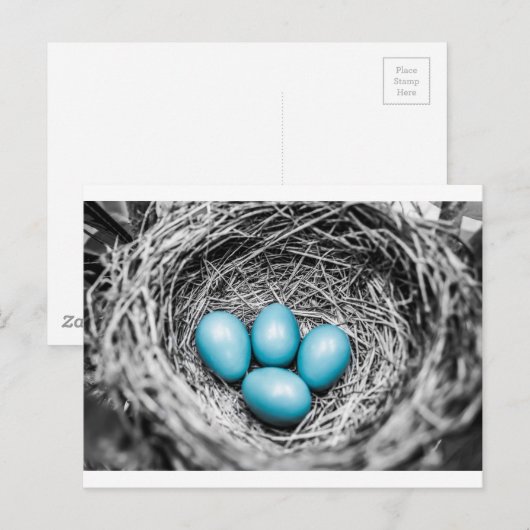 目立つ ポストカード (正面/裏面)