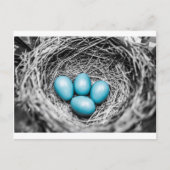 目立つ ポストカード (正面)