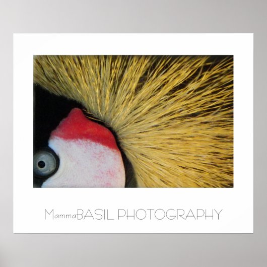 目素晴らしのポスター！ ポスター (正面)